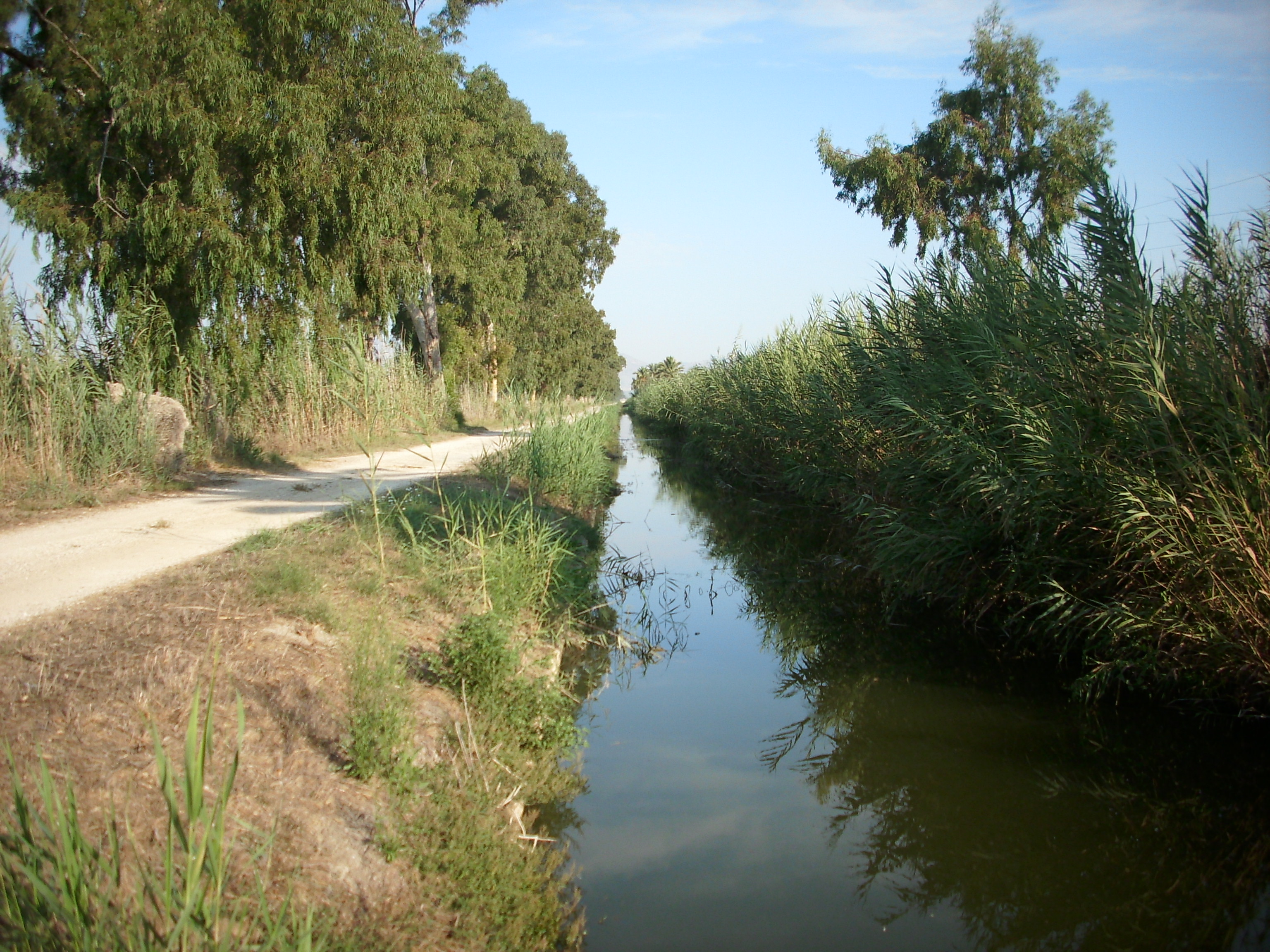 El Hondo. Canal Principal de Riegos de Levante